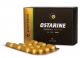 GOLDEN pharma OSTARINE (MK-2866) 15 mg 90 cps